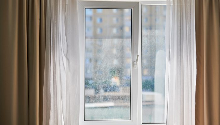 window.jpg